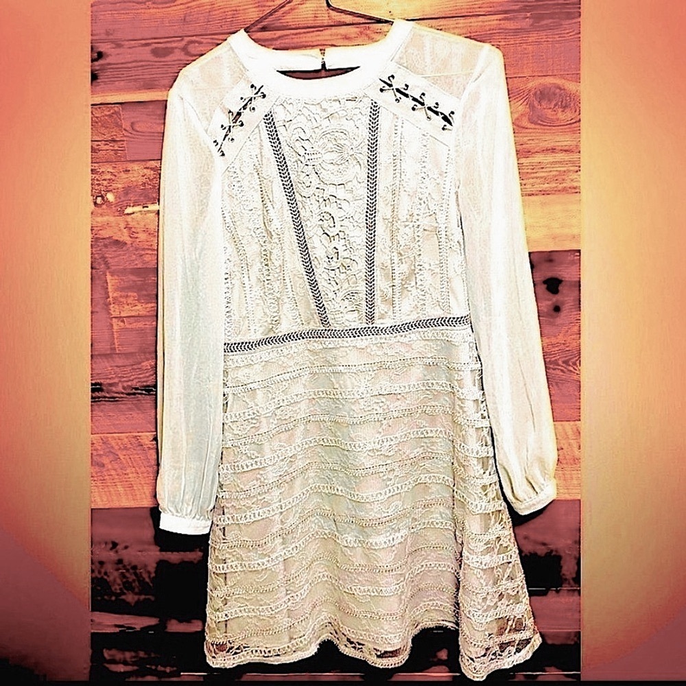 Topshop lace chiffon dove gray mini dress US8 sheer lined embroidered ethereal